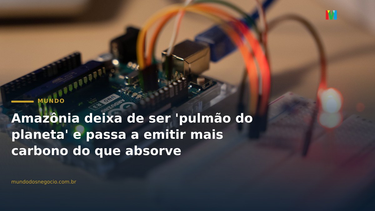 Amazônia deixa de ser 'pulmão do planeta' e passa a emitir mais carbono do que absorve