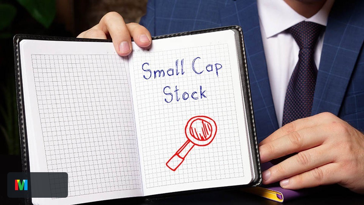 Ilustração small caps — Bora Investir / B3