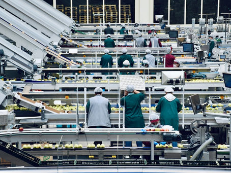Inside an apple processing company in northern Italy
