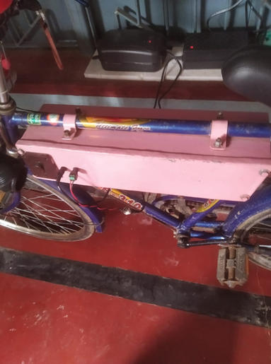 desi cycle.jpeg