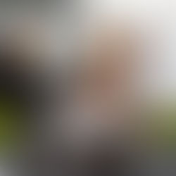 How to Take Advantage of Kia Car Sales Now