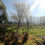 Miniatura: PARCELA LA CABRAS