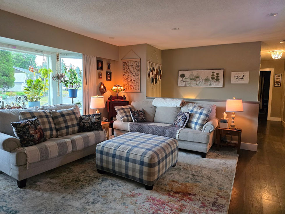 Comfy living room