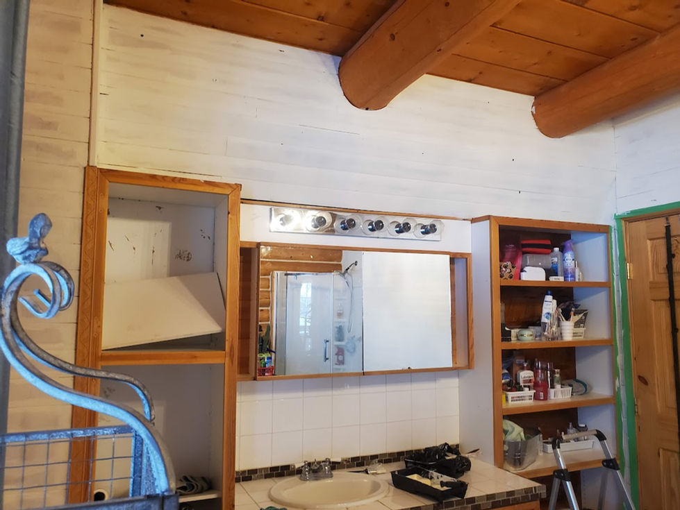 Farm bathroom before