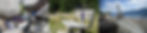 HOMEBANNER.jpg