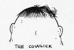 Cowlick