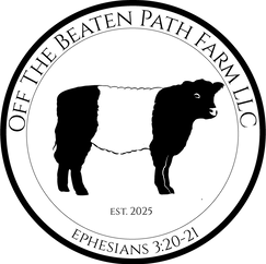 Asset 2.png