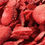 Thumbnail: LINDON FARMS FREEZE DRIED FRUITS FOOD STORAGE (150