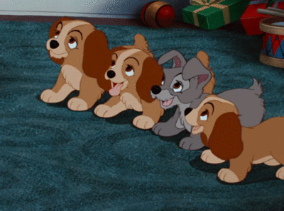 99px_ru_animacii_19470_shenki_viljaut_hvostami.gif