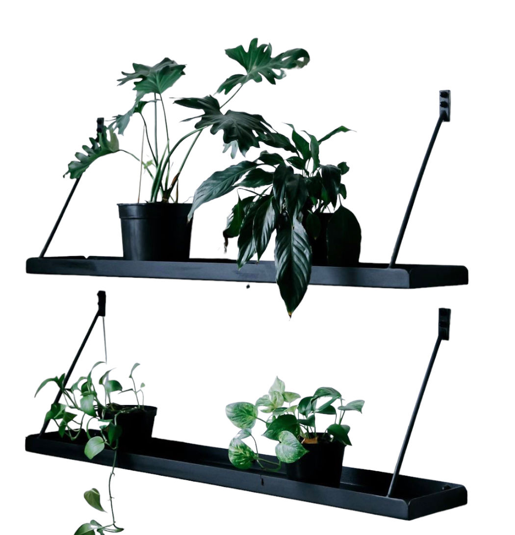 Planter Tray- Wall Mounted