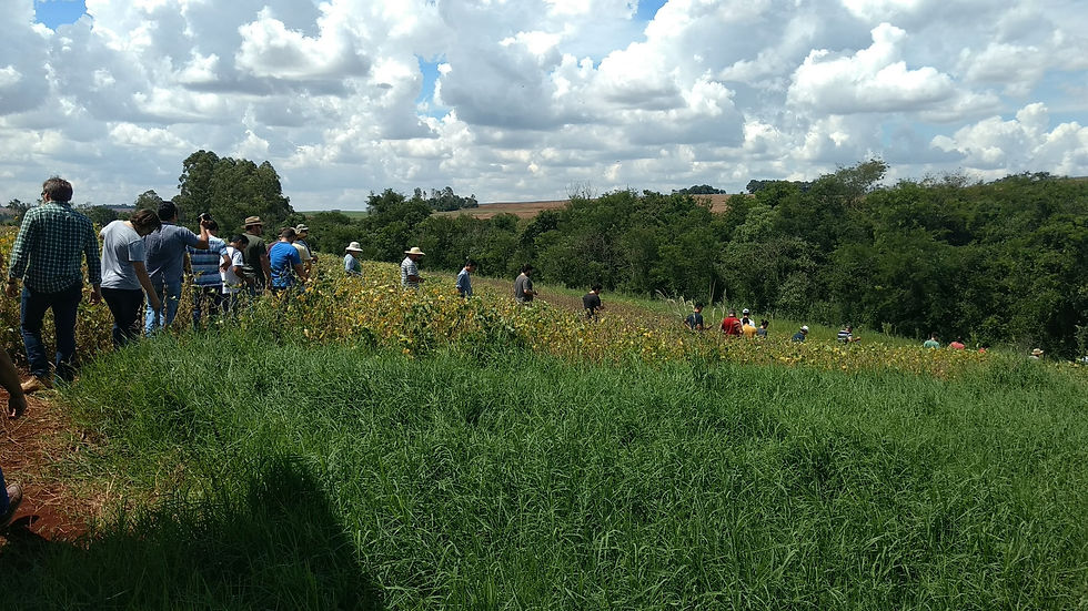 IMG_20200219_142351359