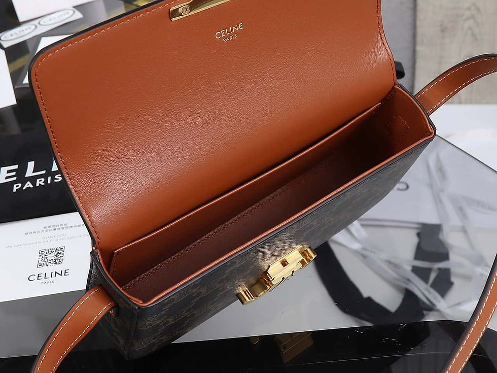 Thumbnail: Triomphe Underarm Bag – 2021 Limited – CEL269