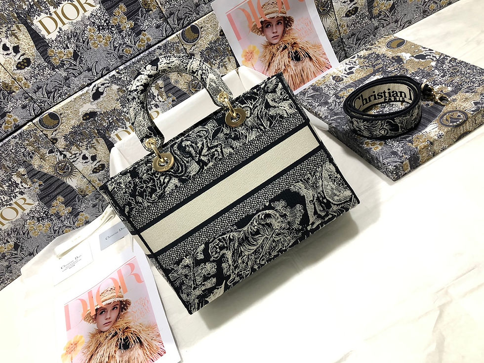 Lady D-Lite Large Bag – Reverse Toile de Jouy Embroidery | Elegant Dior Fake Bag