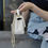 Thumbnail: Designer Bag CNL - 1016