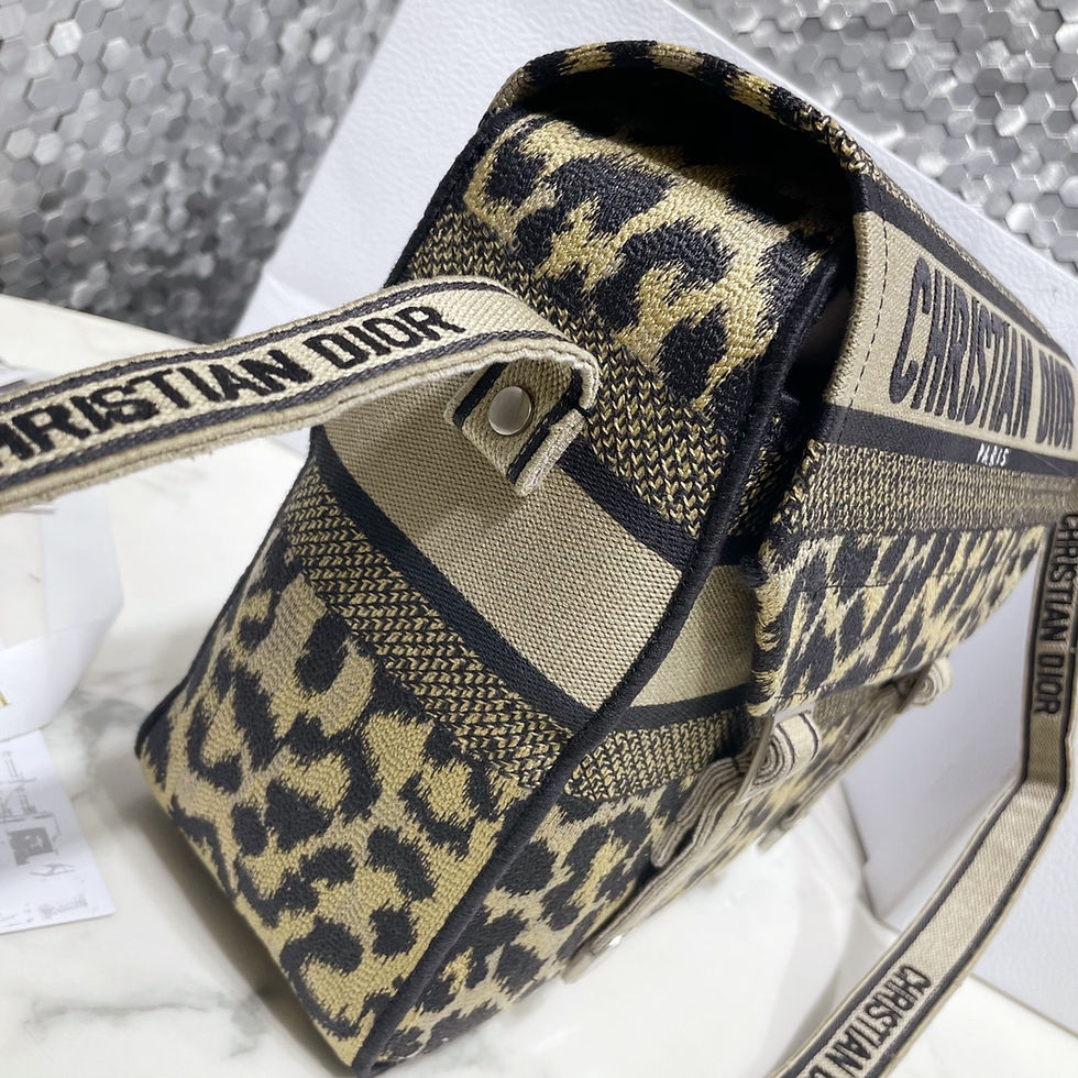 Thumbnail: Dior camp Messenger Bag – Beige Mizza Embroidered Dior Shoulder Bag