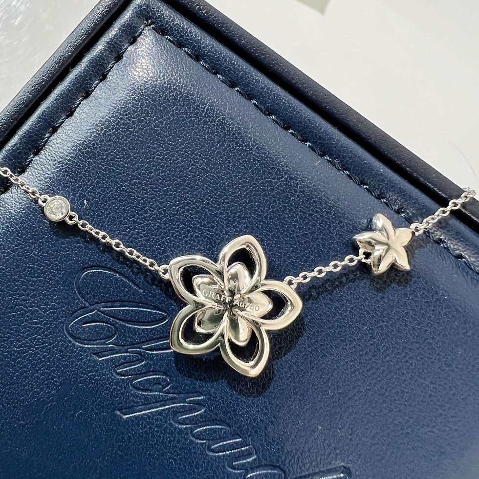 Miniaturbild: Designer Jewelry & Apparels