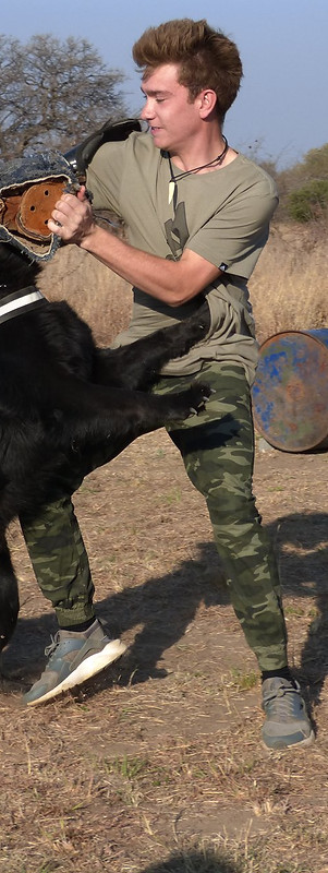 Anti-Poaching Dog Bite Work