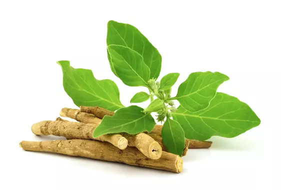 plante adaptogène pour l'équilibre émotionnel