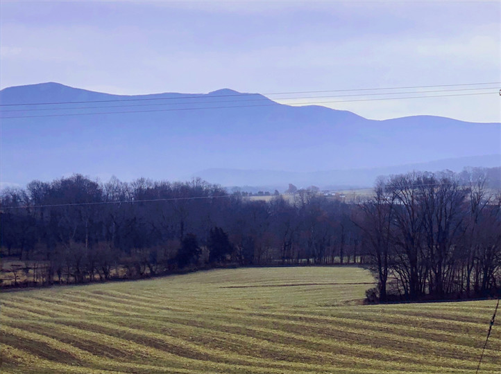 Home ShenandoahValleyFarm