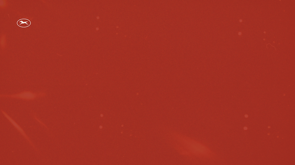 fundo maria sobre nos site.png