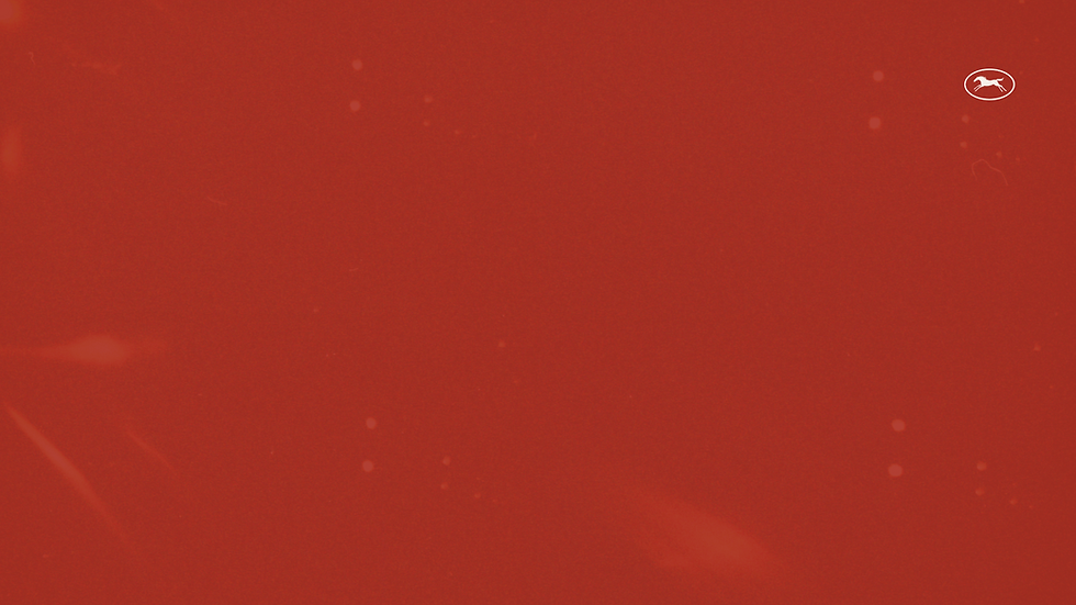 fundo sobre nos site.png