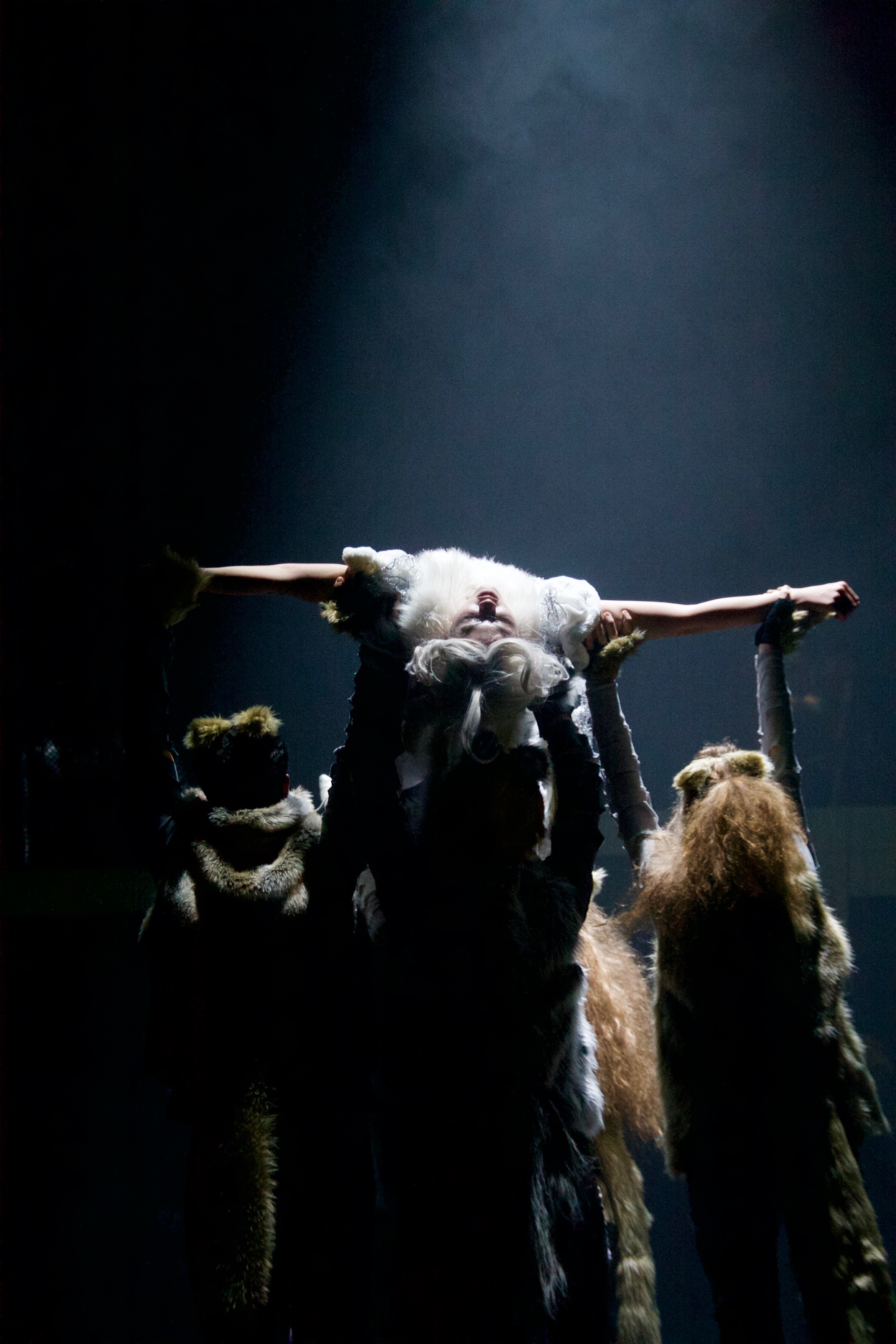 THE LION, THE WITCH, & THE WARDROBE