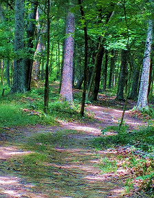 Hike at Cedar Trails