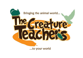 Logo for the Creature Teachers in Bournemouth