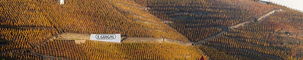 lugardovinho_vinicola_eguigal2 -620x349.jpg