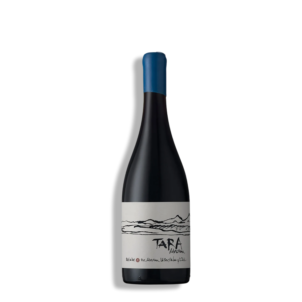 Tara Atacama Red Wine 1 Pinot Noir Tinto - Atacama - Chile
