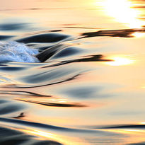 istockphoto-185264129-612x612.jpg