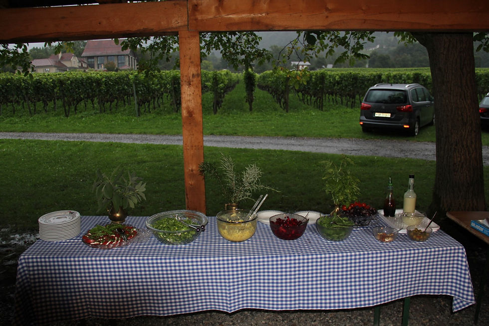 2014-08-29 18.13.42 (Groß).jpg