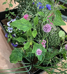 WhatsApp Image 2024-12-24 at 14.59.05 (1).jpeg