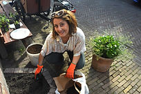 DSC_4131.A.JPG