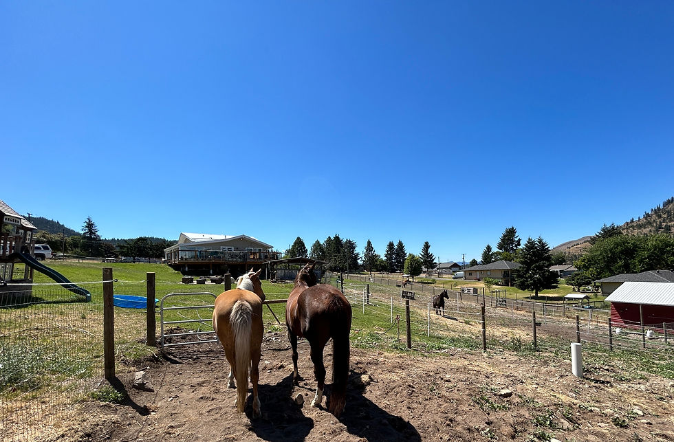 horse boarding