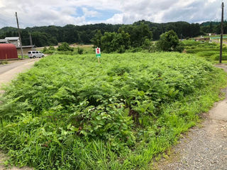 魚沼市 不動産 不動産物件 株式会社星元不動産事業部 5 11 ページ