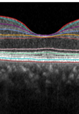 bioengineering-10-00407-g013-1234513063_edited.jpg
