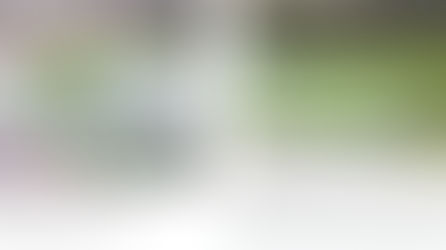 Water Quality Update for October 5, 2021