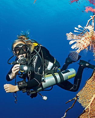 Basic Deco_edited.jpg