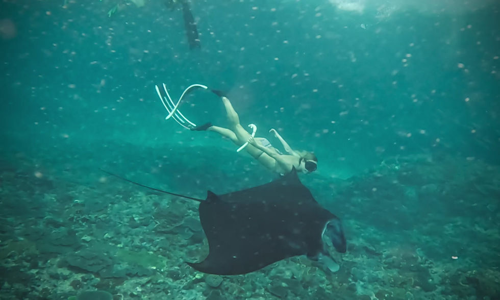 Miniatura: Šnorchlovací výlet do okolí Nusa Lembongan