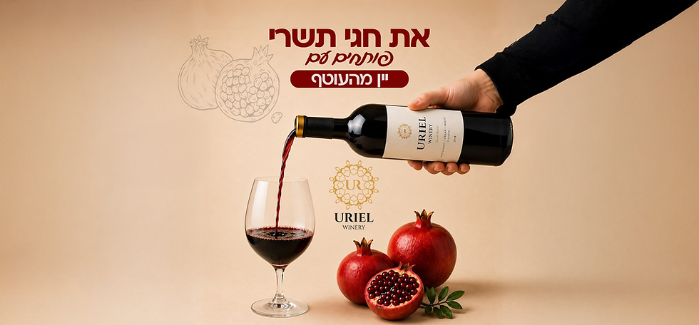 באנר פתיחה.png