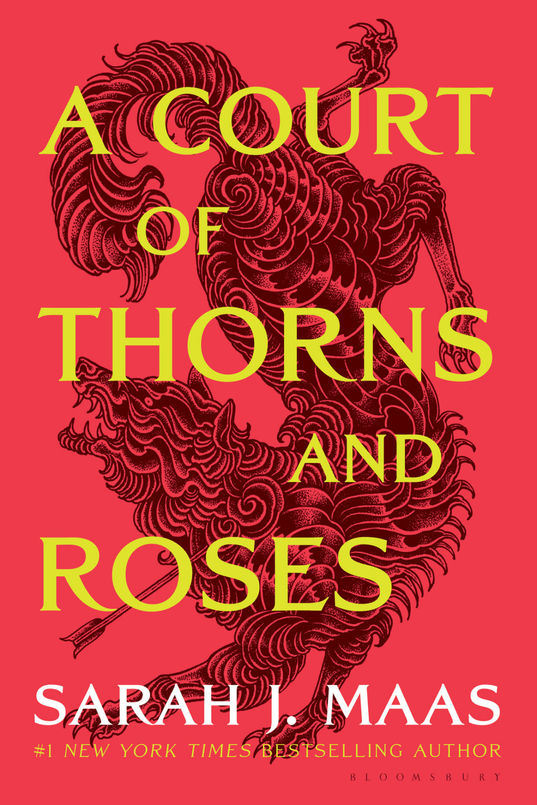 a court of thorns and roses book review.jpeg
