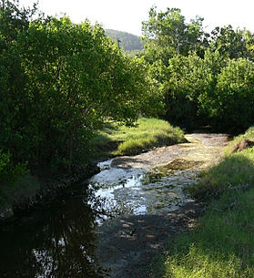 Petersen-Creek6.jpg