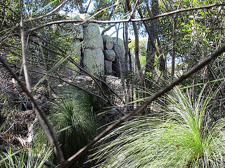 Grass_Tree&Rock.jpg
