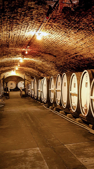 Tahbilk Wine Cellar
