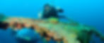 Yongala Dive_qld.jpg