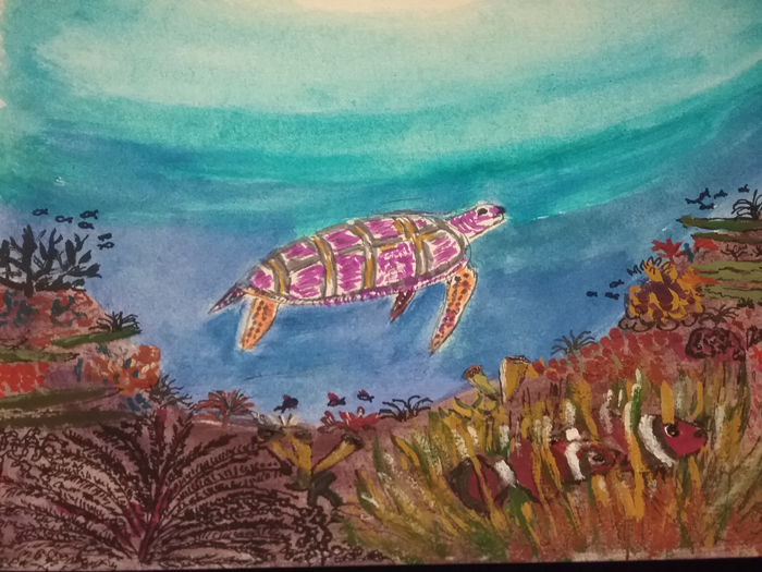 Sea Turtle over reef