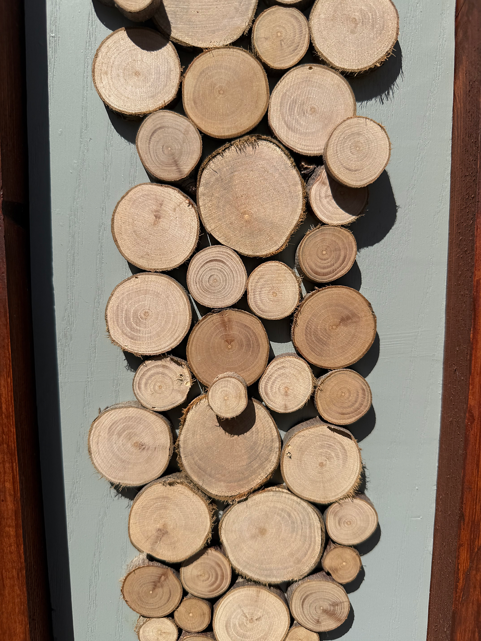 Thumbnail: Reclaimed Apple Tree Wood Wall Art | Natural Wood Circle Panel with Light Green