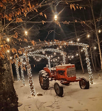 Winter wedding photo idea