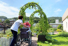 あおぞら庭園 (6).JPG